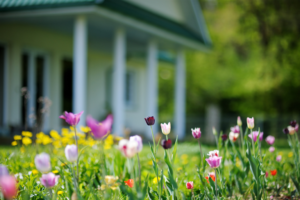 Spring into Homeownership: Why March Is a Great Time to Buy